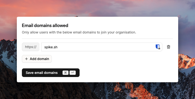 Configure domain restrictions in Spike organisation settings
